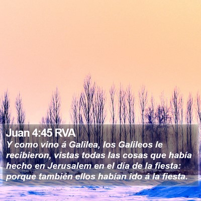 Juan 4:45 RVA Bible Verse Image