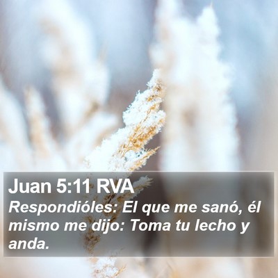 Juan 5:11 RVA Bible Verse Image