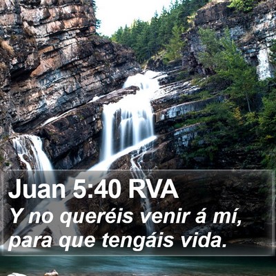 Juan 5:40 RVA Bible Verse Image