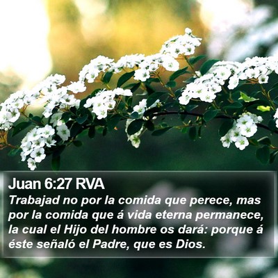 Juan 6:27 RVA Bible Verse Image