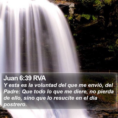 Juan 6:39 RVA Bible Verse Image