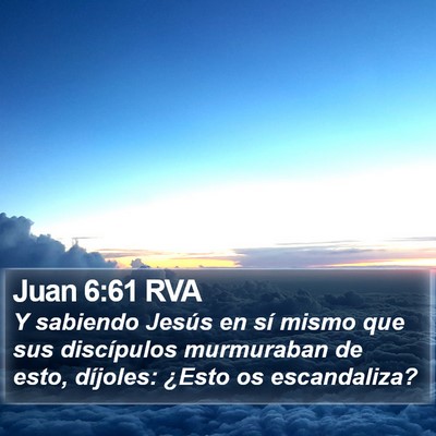 Juan 6:61 RVA Bible Verse Image