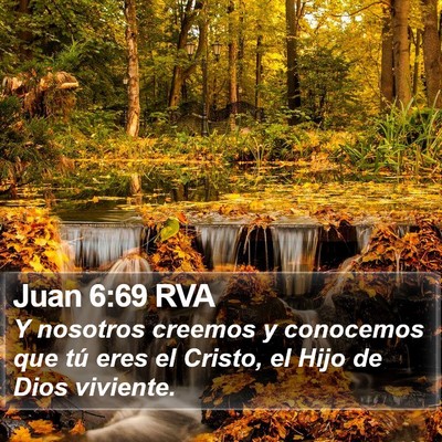 Juan 6:69 RVA Bible Verse Image