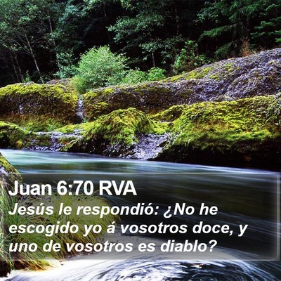 Juan 6:70 RVA Bible Verse Image