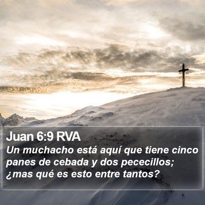 Juan 6:9 RVA Bible Verse Image