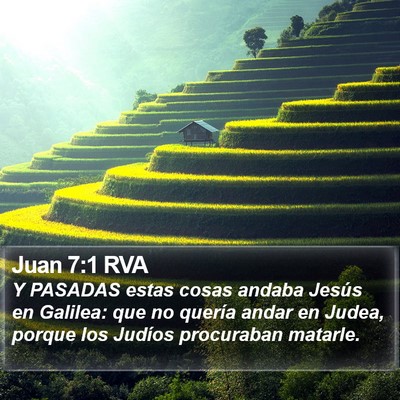 Juan 7:1 RVA Bible Verse Image