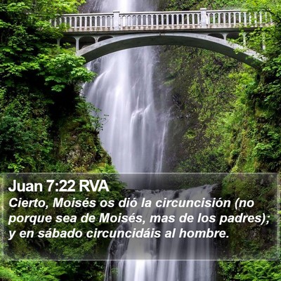 Juan 7:22 RVA Bible Verse Image