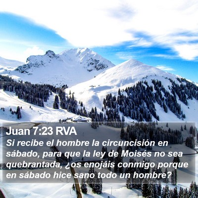 Juan 7:23 RVA Bible Verse Image