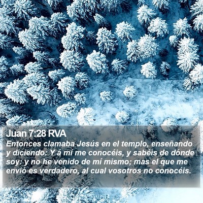 Juan 7:28 RVA Bible Verse Image