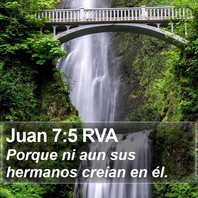 Juan 7:5 RVA Bible Verse Image