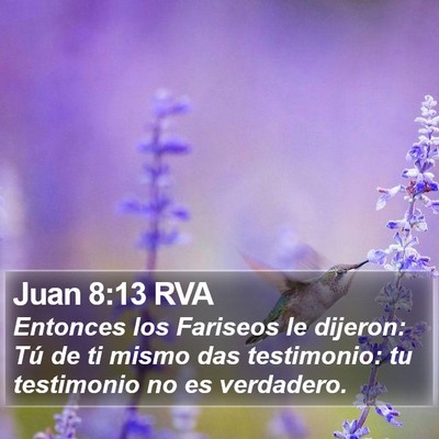 Juan 8:13 RVA Bible Verse Image