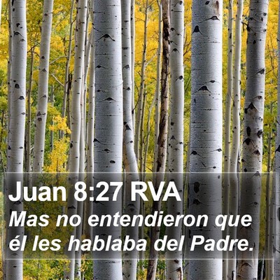 Juan 8:27 RVA Bible Verse Image