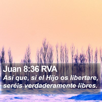 Juan 8:36 RVA Bible Verse Image