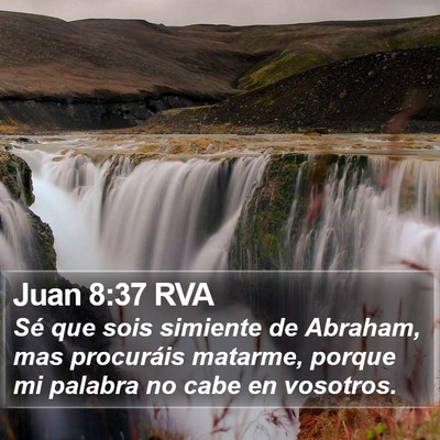 Juan 8:37 RVA Bible Verse Image