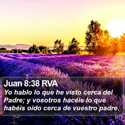 Juan 8:38 RVA Bible Verse Image