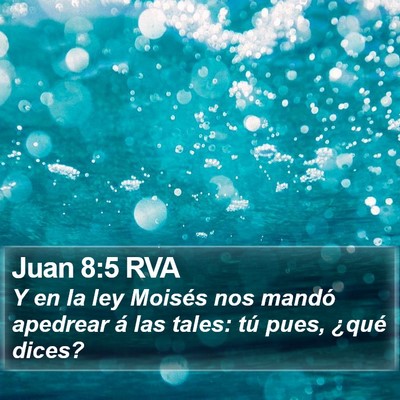 Juan 8:5 RVA Bible Verse Image