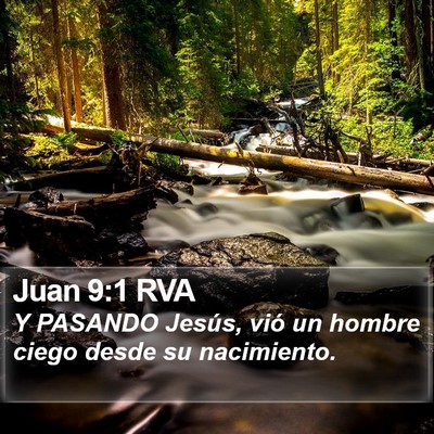 Juan 9:1 RVA Bible Verse Image