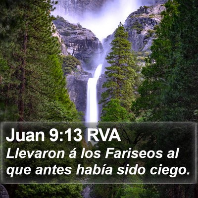Juan 9:13 RVA Bible Verse Image