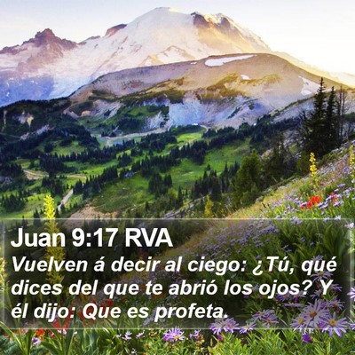 Juan 9:17 RVA Bible Verse Image