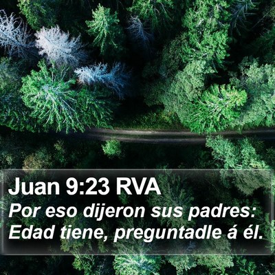Juan 9:23 RVA Bible Verse Image