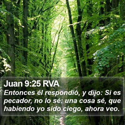 Juan 9:25 RVA Bible Verse Image