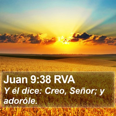 Juan 9:38 RVA Bible Verse Image