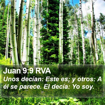Juan 9:9 RVA Bible Verse Image