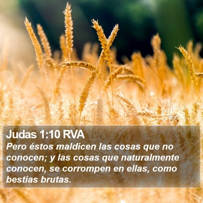 Judas 1:10 RVA Bible Verse Image