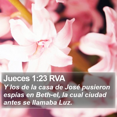 Jueces 1:23 RVA Bible Verse Image
