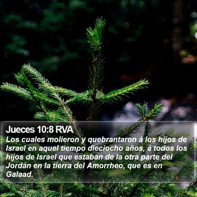 Jueces 10:8 RVA Bible Verse Image