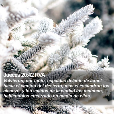 Jueces 20:42 RVA Bible Verse Image
