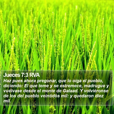 Jueces 7:3 RVA Bible Verse Image