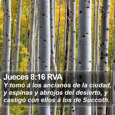Jueces 8:16 RVA Bible Verse Image