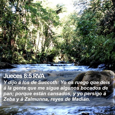 Jueces 8:5 RVA Bible Verse Image