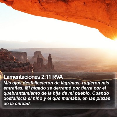 Lamentaciones 2:11 RVA Bible Verse Image