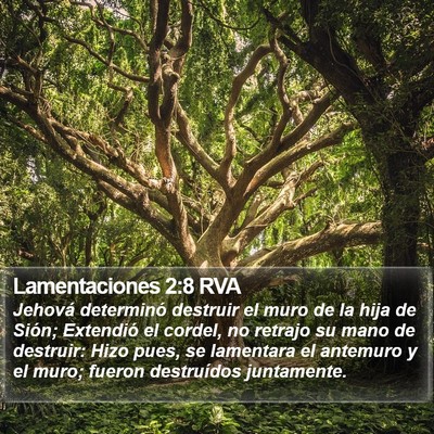Lamentaciones 2:8 RVA Bible Verse Image