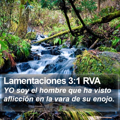 Lamentaciones 3:1 RVA Bible Verse Image