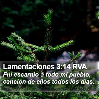 Lamentaciones 3:14 RVA Bible Verse Image