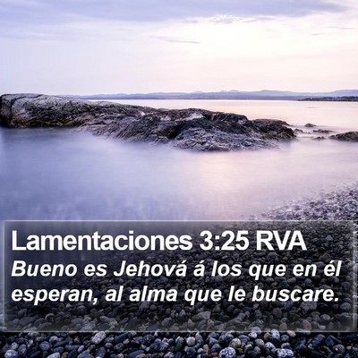 Lamentaciones 3:25 RVA Bible Verse Image