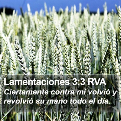 Lamentaciones 3:3 RVA Bible Verse Image