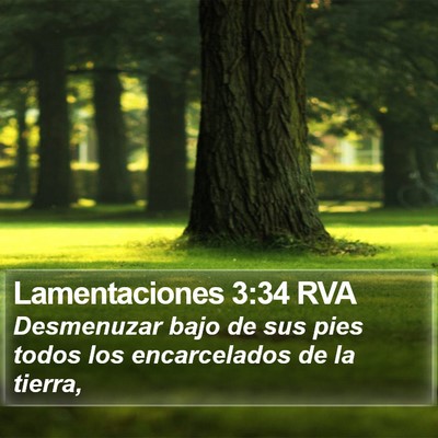 Lamentaciones 3:34 RVA Bible Verse Image