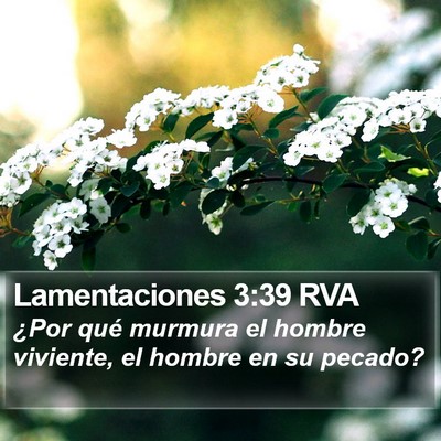 Lamentaciones 3:39 RVA Bible Verse Image