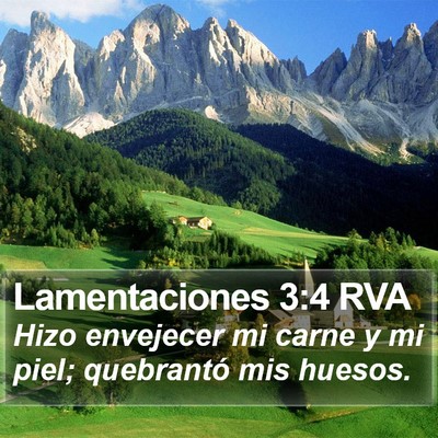 Lamentaciones 3:4 RVA Bible Verse Image
