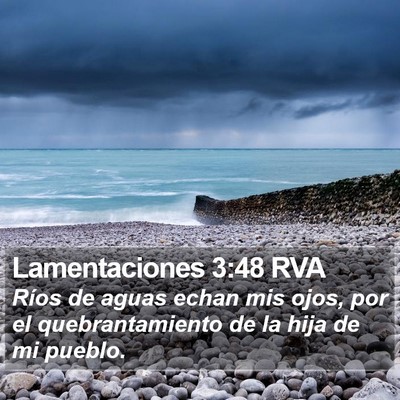 Lamentaciones 3:48 RVA Bible Verse Image