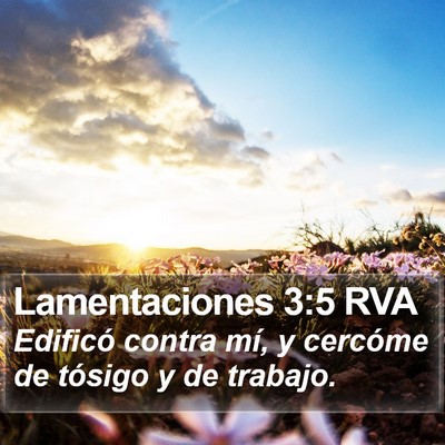 Lamentaciones 3:5 RVA Bible Verse Image
