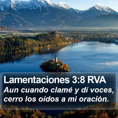 Lamentaciones 3:8 RVA Bible Verse Image