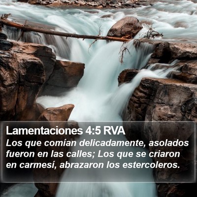 Lamentaciones 4:5 RVA Bible Verse Image