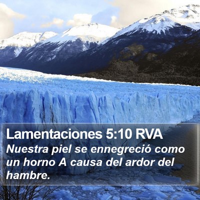 Lamentaciones 5:10 RVA Bible Verse Image