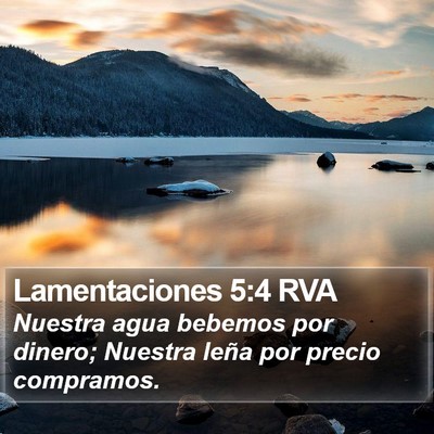 Lamentaciones 5:4 RVA Bible Verse Image