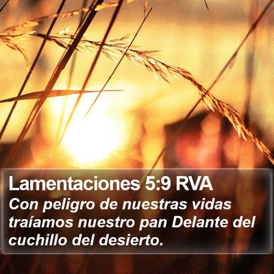 Lamentaciones 5:9 RVA Bible Verse Image